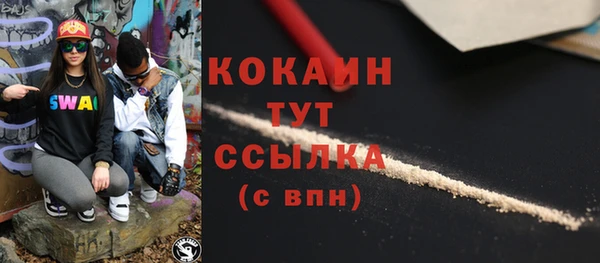 гидра Майский