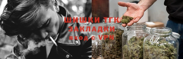гидра Майский
