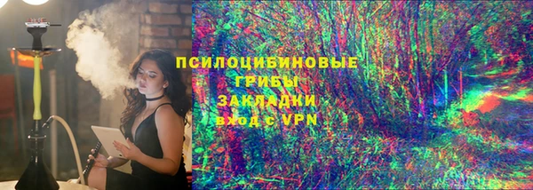гидра Майский