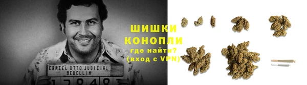 apvp Надым
