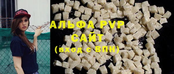 гидра Майский