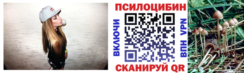 Псилоцибиновые грибы Cubensis наркотики Омск