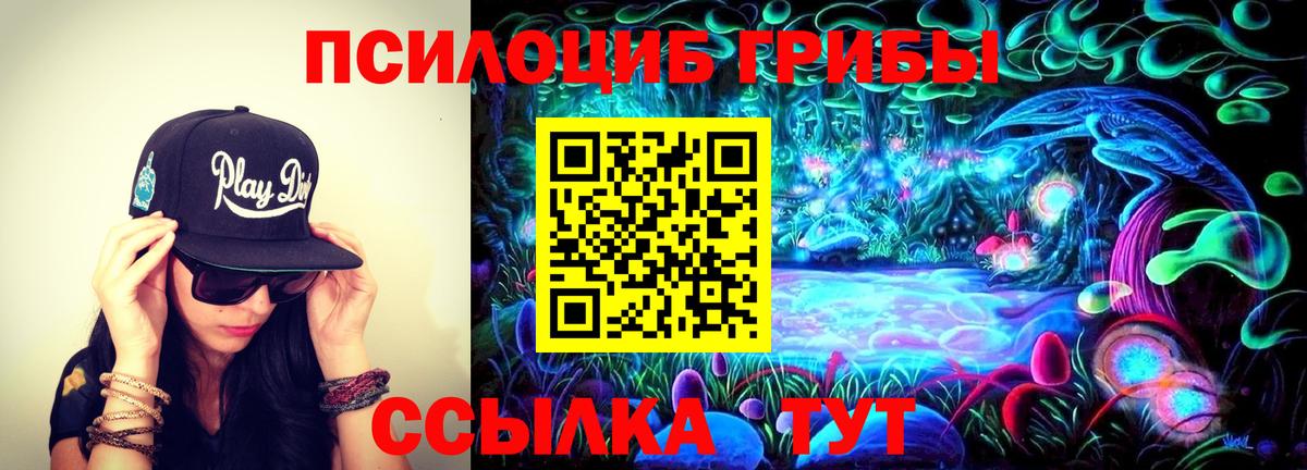 Галлюциногенные грибы мухоморы Омск