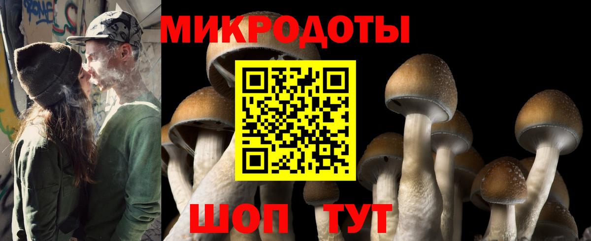Омск  Псилоцибиновые грибы Psilocybine cubensis  Вход с VPN 