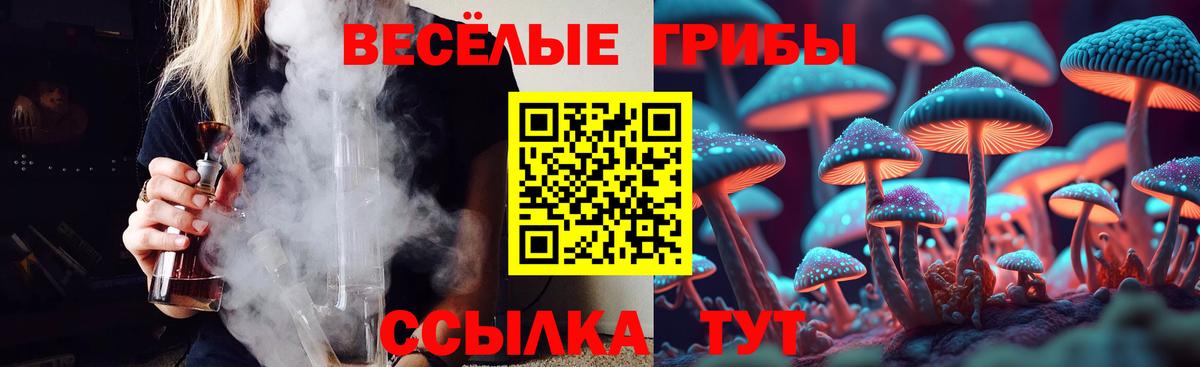 Псилоцибиновые грибы Cubensis Омск